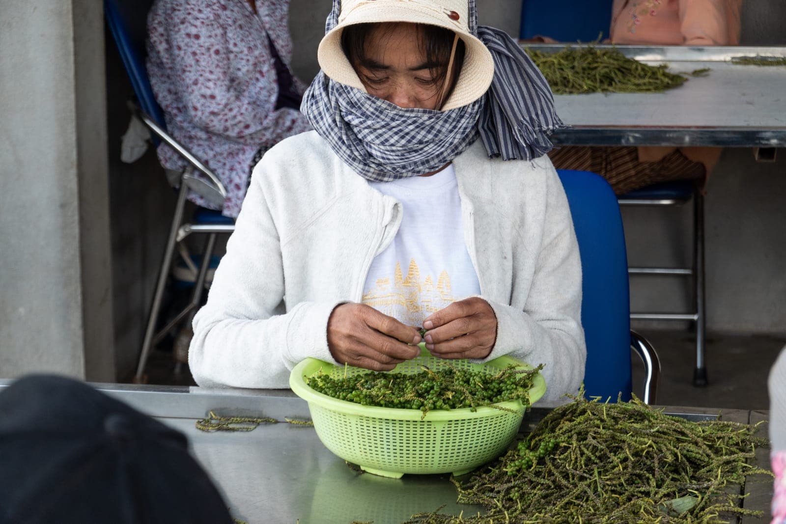 Kampot Pepper Grower 10