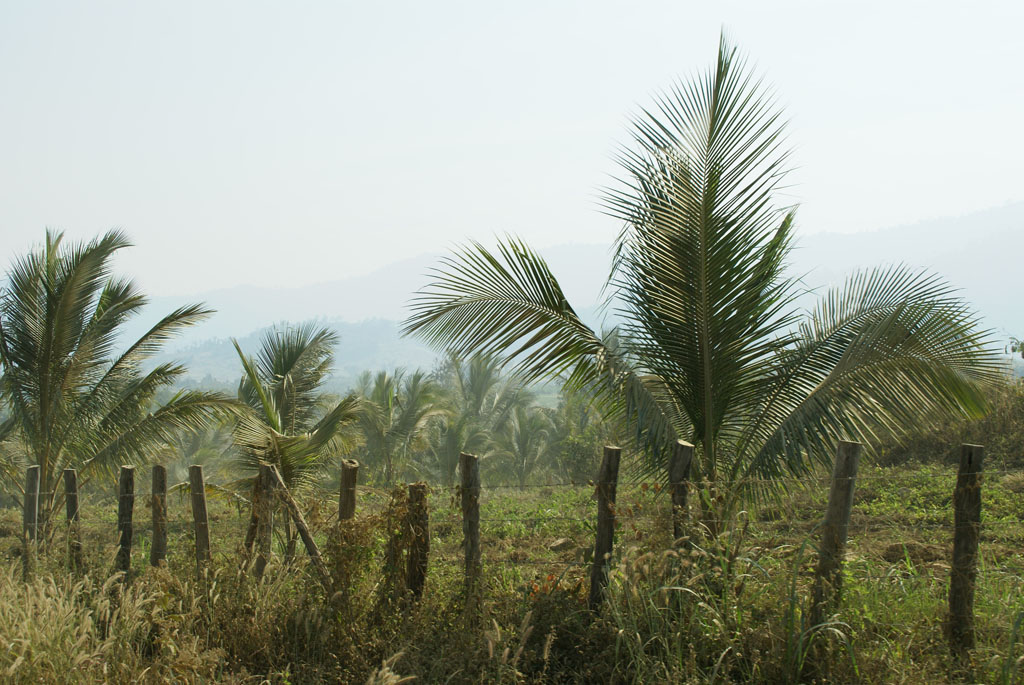 Pailin