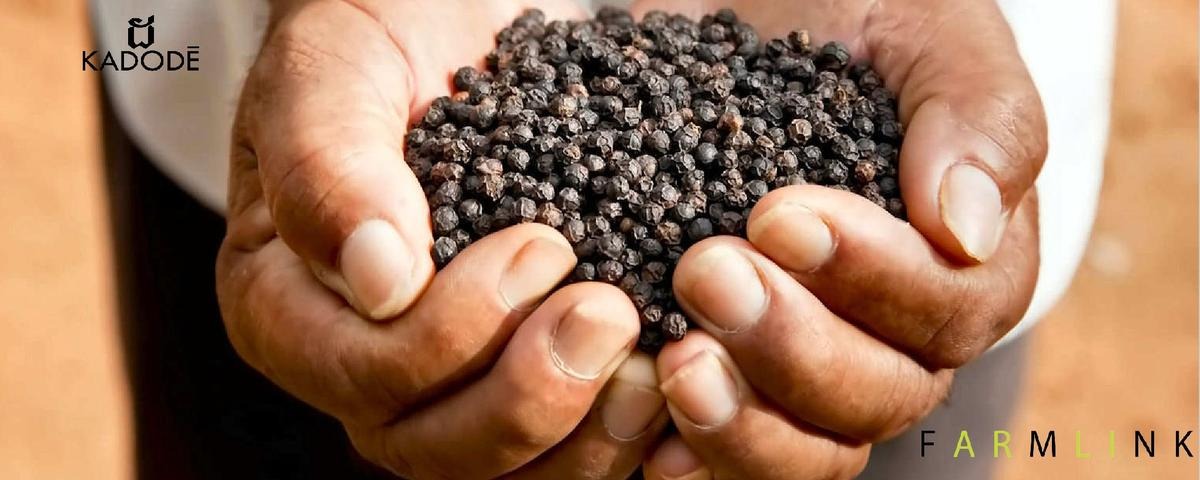 Produit Farmlink — poivre noir Kampot